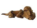 Dog with bone