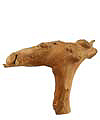 Camel-cow